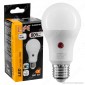 Life Lampadina LED E27 8W Bulb A60 con Sensore Crepuscolare - mod. 39.920367SC / 39.920367SN / 39.920367SF