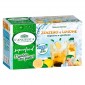 L'Angelica Superfood Tisana a Freddo Zenzero e Limone Vegan Senza Lattosio e Gluten Free - Confezione da 18 Filtri