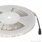 V-Tac VT-2835-120 Striscia LED Flessibile 80W SMD Monocolore 120 LED/metro IP65 24V - Bobina 10m - SKU 212625 / 212626 / 212627