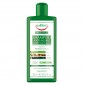 Equilibra Tricologica Shampoo Anti-Aging Protettivo Colore Phytosinergia Aloe Argan Cheratina Vegetale - Flacone da 300ml