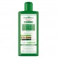 Equilibra Tricologica Shampoo Anti-Caduta Fortificante Phytosinergia Aloe Argan Cheratina Vegetale - Flacone da 300ml