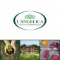 Immagine 2 - L'Angelica Curcuma e Pepe Integratore Superfood Antiossidante con