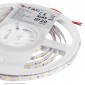 V-Tac VT-3528-60 Striscia LED Flessibile 21W SMD Monocolore 60 LED/metro 12V - Bobina da 5 metri - SKU 212016 / 212041 / 212005
