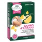 L'Angelica Gambo d'Ananas Integratore Alimentare Drenante - Confezione da 12 Bustine