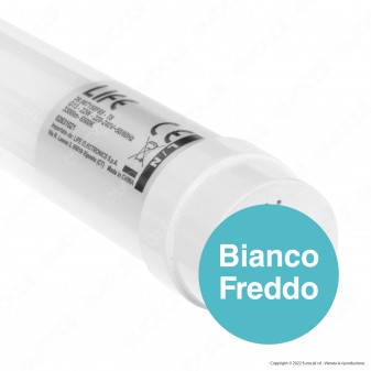 Life HF7 Tubo LED SMD Vetro T8 G13 22W Lampadina 150cm con