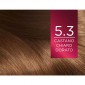 Immagine 2 - L'Oréal Paris Excellence Colorazione Permanente 5.3 Castano Chiaro