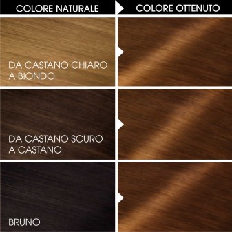 Garnier Olia Tinta Permanente per Capelli 5.3 Castano Dorato Senza