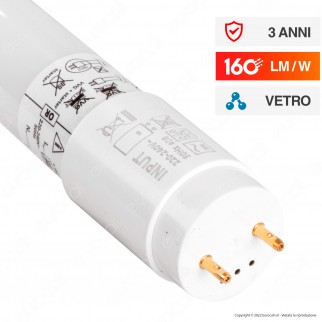 Kanlux Tubo LED SMD GLASSv4 T8 G13 24W Lampadina 150cm con Starter -
