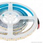 V-Tac VT-2835-240 Striscia LED Flessibile 100W SMD Monocolore 240 LED/metro 12V - Bobina 5 metri - SKU 212164 / 212165 / 212166