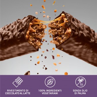 Optimum Nutrition Fruit e Nut Protein Crisp Barretta Frutta Secca -
