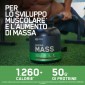 Immagine 3 - Optimum Nutrition Serious Mass Proteine Whey in Polvere per Sviluppo