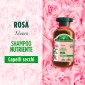 Immagine 2 - Antica Erboristeria Shampoo Nutriente Rosa per Capelli Secchi -