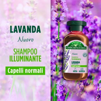Antica Erboristeria Shampoo Illuminante Lavanda & Erbe della Provenza