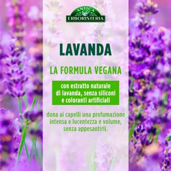 Antica Erboristeria Shampoo Illuminante Lavanda & Erbe della Provenza