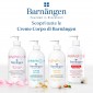 Immagine 4 - Barnangen Nutritive Crema Corpo Nutriente con Camemoro per Pelle