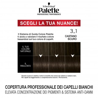 Schwarzkopf Palette Tinta Permanente Professionale con Tecnologia