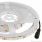 V-Tac VT-4040-60 Striscia LED Flessibile 40W SMD Monocolore 60 LED/metro 12V - Bobina da 5 metri - SKU 2931 / 2932 / 2933