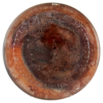 Delicius Acciughe Salate in Salamoia - Vasetto da 310g