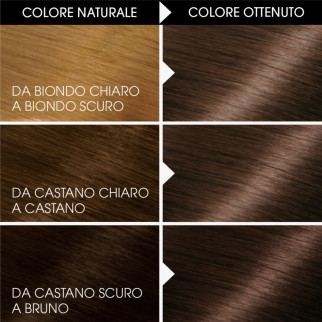 Garnier Belle Color Tinta Permanente per Capelli Colore 22 Castano Naturale Nude