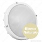 Immagine 2 - Life Plafoniera LED 12W Bianca Circolare Con Sensore Crepuscolare