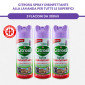Immagine 6 - Kit Cura ed Igiene della Casa con Disinfettante Spray Igienizzante Smacchiatore Detersivo