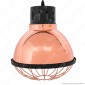 V-TAC VT-8255 Lampadario in Metallo Cromato con Portalampada per Lampadine E27 - SKU 3709