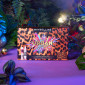 Immagine 4 - Maybelline New York Join The Party Urban Jungle Confezione Regalo con Ciglia Sensazionali Mascara +