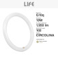 Immagine 2 - Life Circolina T9 LED G10q 19W SMD Lampadina Ø30cm - mod.