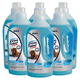Lysoform Professional Detergente Pavimenti Igienizzante Profumo Brezza Marina - 6 Flaconi da 1 Litro
