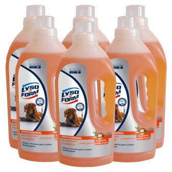 Lysoform Professional Detergente Pavimenti Igienizzante Profumo Golden Argan - 6 Flaconi da 1 Litro