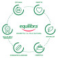Immagine 3 - Equilibra Integratore Antiossidante Curcuma - Confezione da 20