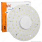 Life Modulo LED Circolina con Magnete Ø140mm 12W per Plafoniere - mod. 39.942312C / 39.942312N [TERMINATO]