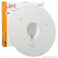 Life Modulo LED Circolina con Magnete Ø235mm 24W per Plafoniere - mod. 39.942324C / 39.942324N [TERMINATO]