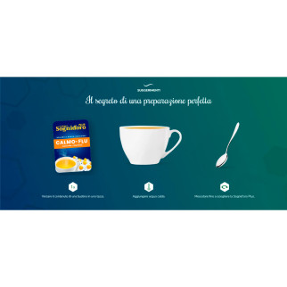 Camomilla Solubile 14 Bustine Calmo-Flu Sognid'oro