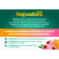 Immagine 2 - Sognid'oro Plus Immuno-Defense Tisana Solubile per il Supporto del Sistema Immunitario - Confezione da 14 Bustine