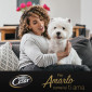 Immagine 6 - Cesar Ricette Classiche Cibo per Cani con Vitello e Pollo - 14 Vaschette da 150g