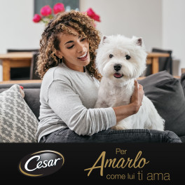 Cibo per Cani con Vitello e Pollo Cesar Ricette Classiche 14
