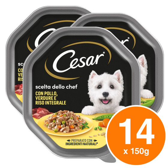 Cibo per Cani con Pollo Verdure Riso Cesar Scelta dello Chef Cibo per Cani con Pollo Verdure Riso Cesar Scelta dello Chef