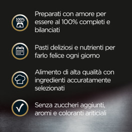 Cibo per Cani con Manzo Verdure Riso Cesar Scelta dello Chef