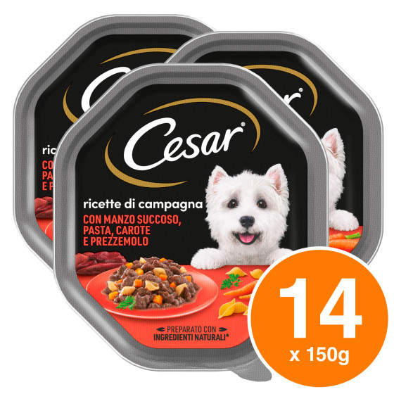 Cibo per Cani con Manzo Pasta Carote e Prezzemolo Cesar 14x