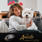 Immagine 2 - Cesar Ricette di Campagna Cibo per Cani con Manzo Pasta Carote e Prezzemolo - 14 Vaschette da 150g