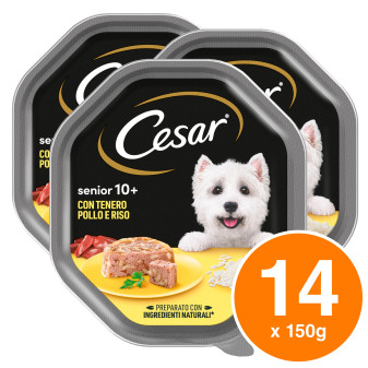 Cesar Senior 10+ Cibo per Cani con Pollo e Riso in Gelatina - 14 Vaschette da...