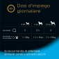 Immagine 3 - Cesar Senior 10+ Cibo per Cani con Pollo e Riso in Gelatina - 14 Vaschette da 150g