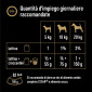 Immagine 5 - Cesar Natural Goodness Cibo per Cani con Pollo Patate Dolci Piselli e Mirtillo Rosso - Lattina da 400g