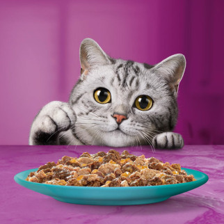 Cibo per Gatti Pranzetti Carni e Verdure Whiskas
