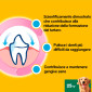 Immagine 3 - Pedigree Dentastix Large per l'igiene orale del cane - Confezione da 105 Stick
