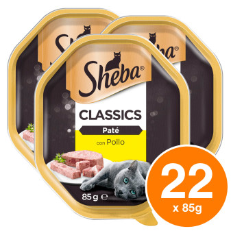 Sheba Paté Classic Cibo per Gatti al Pollo - 22 Vaschette da 85g