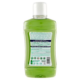 Aloe Collutorio Multiattivo Menta e Vitamina B3 Equilibra