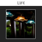 Immagine 6 - Life Lampadina LED E27 12W Bulb A70 Goccia Filament in Vetro Milky - mod. 39.920357CM27 / 39.920357NM40
