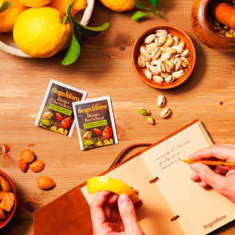 Sogni d'oro Infuso Delizie e Frutta Secca Scorza Limone 16 Filtri Star
